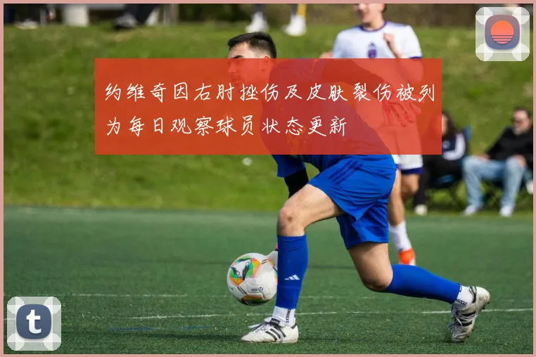 约维奇因右肘挫伤及皮肤裂伤被列为每日观察球员状态更新