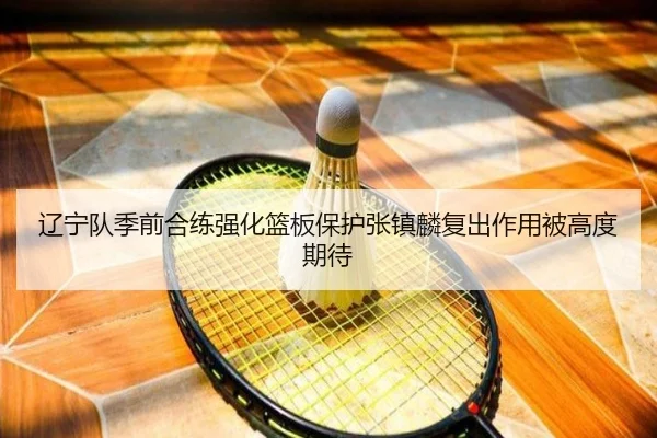 辽宁队季前合练强化篮板保护张镇麟复出作用被高度期待 | kaiyun